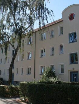 3 - Zimmer Wohnung Sahlkamp - Hannover