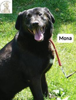 Mona Die Lady mit dem gewissen Etwas! - Kissing