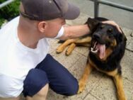 Clyde sucht Bonnie zum Pferde stehlen - Plauen