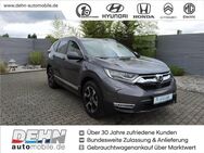 Honda CR-V 2.0 Hybrid AWD Executive Pano Head Up ACC - Brandenburg (Havel)