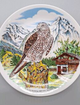 Teller Zierteller Deko 10. IVV - Wandertag 1989 S.K.V. Rutesheim Habicht 19 cm - Essen