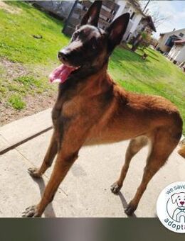 Ra: Sanft, klug und bereit für Neues - Kirchzell