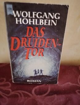 W.Hohlbein, "Das Druiden Tor", Fantasy- Roman ist der Mensch Herrscher über Urgewalten - Nürnberg Zentrum