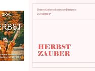 OKAL Herbst Zauber 2024 - Hannover