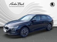 Skoda Octavia, 1.5 TSI Combi Clever G-TEC, Jahr 2022 - Diez