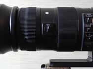 TELEOBJEKTIV SIGMA 150-600 1:5 6.3 DG FÜR CANON EF - Buch (Erlbach)