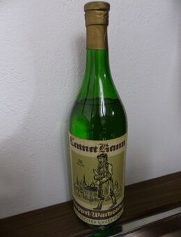 Doppelwacholder - Übach-Palenberg