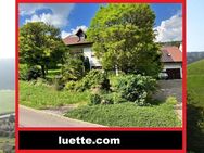 Freist. 3Familienhaus mit knapp 1.000 m² Grst.,mit dieser Immobilie erwartet Sie etwas Besonderes, ideale Kombination... - Waldshut-Tiengen