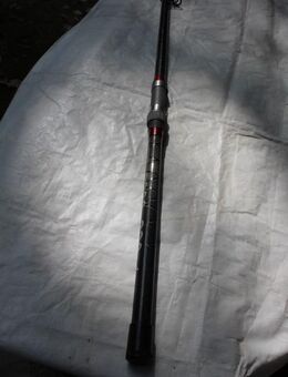 Angel Telerute SHIMANO CATANA TE 8000 3,30 WG 50-100 - Hennef (Sieg) Zentrum