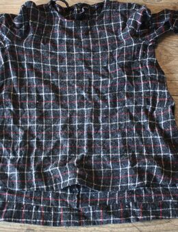 Zara Woman Wollbluse Bluse mit Wolle Wollshirt Wollpulli Xs 34 S 36 - Neuenhagen (Berlin)