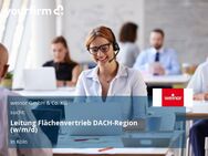 Leitung Flächenvertrieb DACH-Region (w/m/d) - Köln