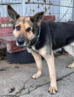 Jutta sucht ihr Glück - München