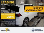 VW Golf, 2.0 TSI GTI CLUBSPORT BLACKSTYLE H&K LM19, Jahr 2023 - Duisburg