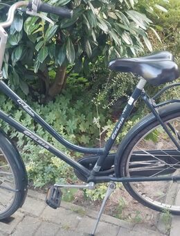 Damenfahrrad 28 Zoll - Vechta