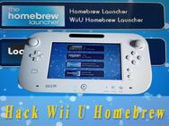 Nintendo Wii u cfw installieren - Ludwigshafen (Rhein)