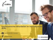 Kaufmännischer Mitarbeiter im Vertrieb (m/w/d) (B2B) - Pforzheim