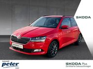 Skoda Fabia, COMBI SOLEIL, Jahr 2019 - Nordhausen