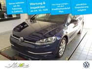 VW Golf Variant, 1.5 TSI Golf VII IQ DRIVE PARKSE, Jahr 2019 - Immenstadt (Allgäu)