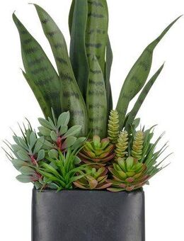 Kunstpflanze Arrangement aus Sukkulenten, Creativ green, Höhe 55 cm, mit verschiedenen Sukkulenten