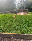 Suche einen Freund in 51467