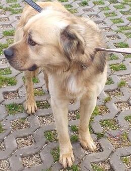 TUGDIL - mit Erfahrung weiter lernen - Overath