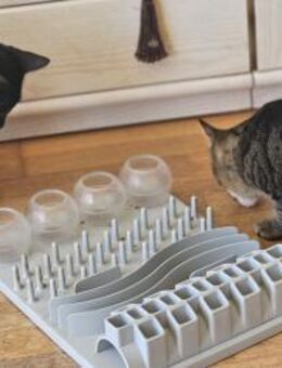 Dicke Freunde Gerry und Nero (ALM) - Geisenheim