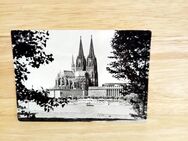 Ansichtskarte-Ak-243 -Köln am Rhein. Rheinufer mit Dom. - Nörvenich