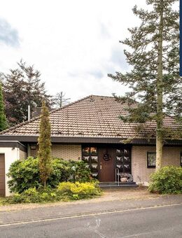 Wo Kinderträume Wurzeln schlagen - Sankt Augustin