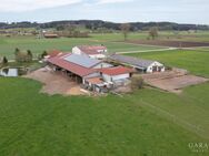 Aussiedlerhof mit viel Gestaltungsmöglichkeit - Münsterhausen
