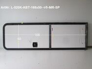 LMC Wohnwagentür / Aufbautür ca. 168 x 50 ohne Schlüssel mit Rahmen gebr. (zB 520K) Sonderpreis (Eingangstür) - Schotten Zentrum