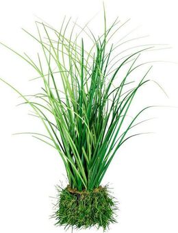 Kunstgras Grasbusch Gras, Creativ green, Höhe 27 cm, auf Grasballen