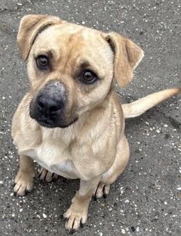 SAMU SUCHT SEIN GLÜCK - Nörten-Hardenberg