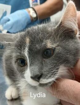 Hübsche Lydia raubt dir den Atem! - Bergkirchen