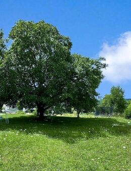 Schöne, renovierte Wohnung mit Gartenanteil, Holzofen, Einbauküche - Ideal für Lux-Pendler! - Trierweiler