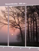 Roll-Up Display 3er-Set "Bäume vor Sonnenuntergang" - 300 x 200 cm - Bestatterbedarf, Dekoration: in 26382