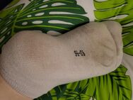 Getragene Socken suchen neuen Benutzer - Stemwede