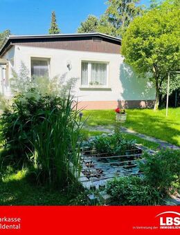 Idyllisches Grünes Wohnparadies in Zentraler Lage - Leipzig