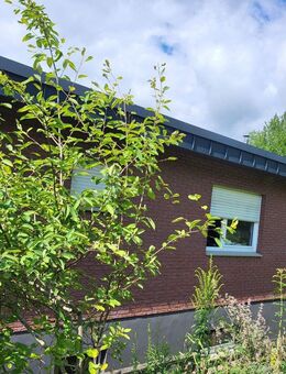 Einfamilienhaus mit Aussicht. Mit Sauna, Garage und Naturgarten. 1000qm Grundstück - Willebadessen