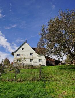 Ruheoase für Kreative und Naturfreunde - Grundstück inkl. genehmigte Pläne für den Bau eines EFH - Herdwangen-Schönach