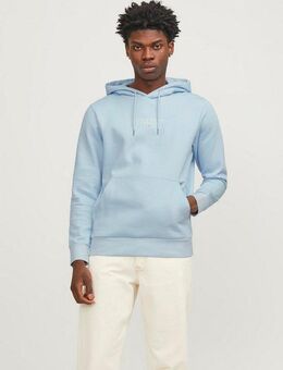 Jack & Jones Kapuzensweatshirt JPRBLUARCHIE SWEAT HOOD NOOS