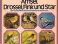 12'' LP Vinyl AMSEL, DROSSEL, FINK UND STAR Eine vogelkundliche Morgenwanderung in 15738