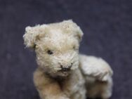 Aus meiner Kindheit um 1955 kleiner süsser Teddybär vermutlich Steiff - Hennef (Sieg)