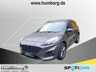 Ford Kuga, ST-Line X, Jahr 2020 - Bad Driburg