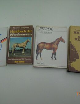 Westernreiten / Handbuch / Pferderassen - München Maxvorstadt