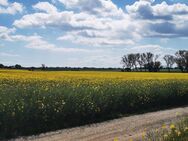 Großes Baugrundstück in traumhafter Lage - Basedow (Mecklenburg-Vorpommern)