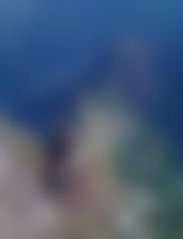 Els*** - Baden-Baden