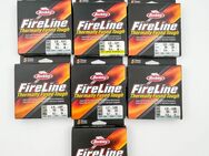 ✅BERKLEY FIRELINE✅ 150m 300m geflochtene Angelschnur Angelleine - Telgte