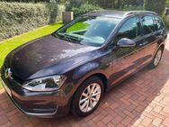 Golf VII Variant Lounge TDI Blue Motion - Meppen