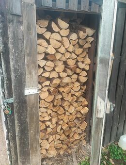1 Raummeter Kaminholz Brennholz Fichte Tanne Lärche Holz abzugeben - Grebenstein Zentrum