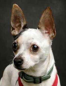 BERRY moechte sein Leben beginnen - Gefrees